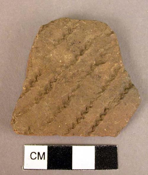 Body sherd-shell edge impression-Matera I scatter impressed ware;