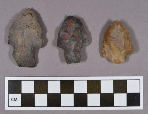 Chipped stone, projectile points, stemmed