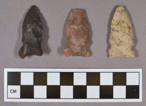 Chipped stone, projectile points, side-notched