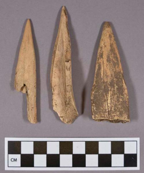 Organic, faunal remains, bone perforator fragments