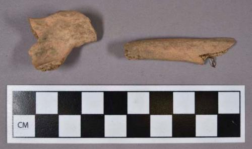 Organic, faunal remains, bone fragments