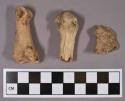 Organic, faunal remains, bone, includes fragments