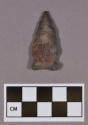 Chipped stone, projectile point, side-notched