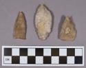 Chipped stone, projectile points, triangular, ovate, and leaf-shaped