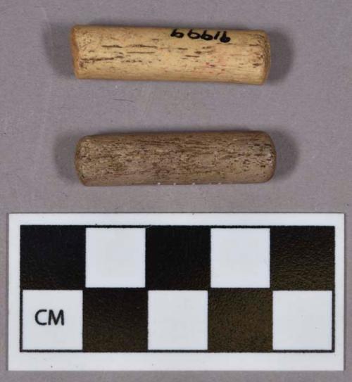 Organic, faunal remains, utilized antler, flat on both ends, cylindrical; possible punches