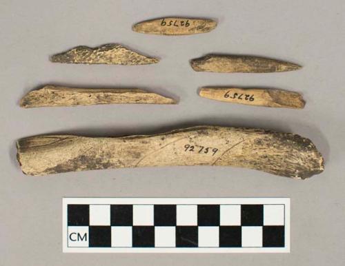 Worked bone, including bone points, and bone fragments, some with cut marks