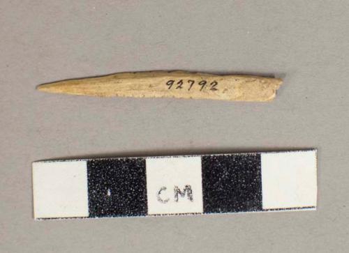 Worked bone, harpoon point with notched edges