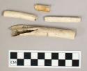 Worked bone, shaft fragments