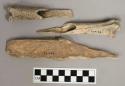 Worked bone, splintered long bone fragments