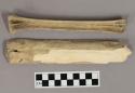 Worked bone, long bone fragments, cut lengthwise