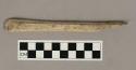 Worked bone, splintered bone shaft