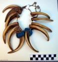 Bear claw necklace with bands of blue beads around bases.