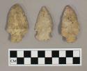 Chipped stone projectile points, including stemmed and side-notched