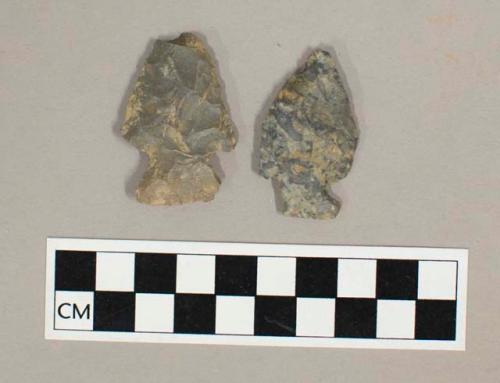 Chipped stone projectile points, side-notched, chert.