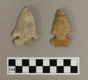 Chipped stone, side-notched projectile points