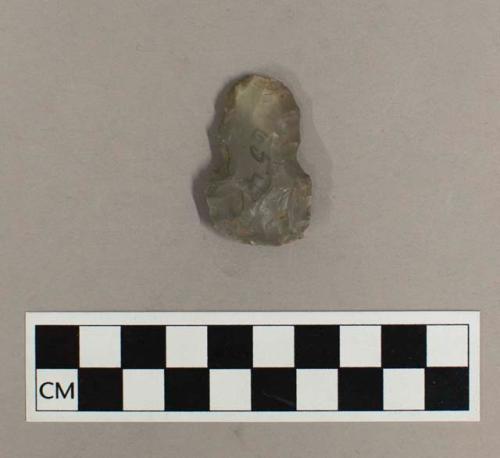 Chipped stone stemmed projectile point