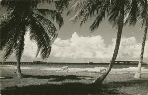 Beach scene with view of long dock