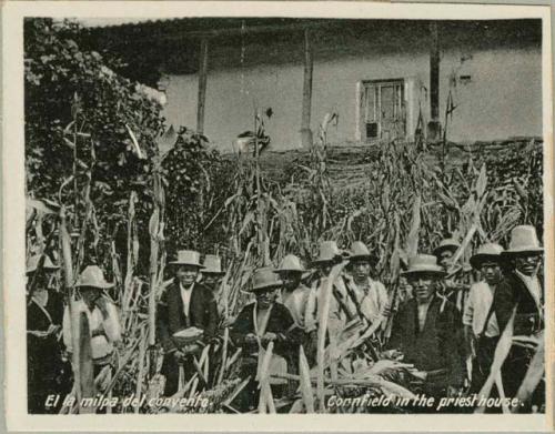 Group in cornfield outside a priest's home