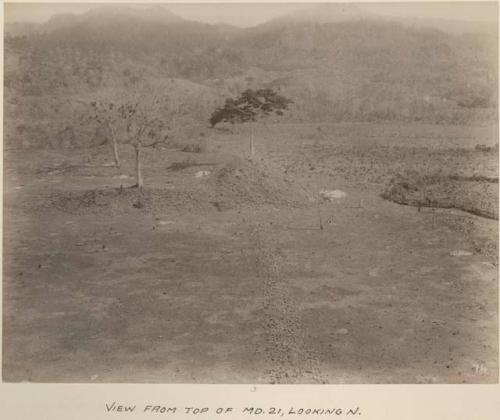 View from top of Mound 21, looking north