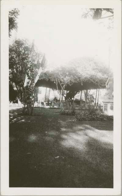 Cactus, with poinsettia in front under thatched roof building