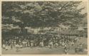 Large crowd at market under a large ceiba tree