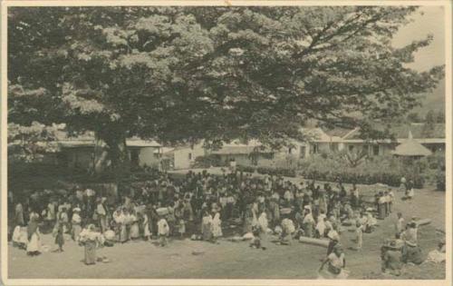 Large crowd at market under a large ceiba tree