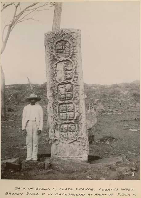 Back of Stela F, Plaza Grande looking west