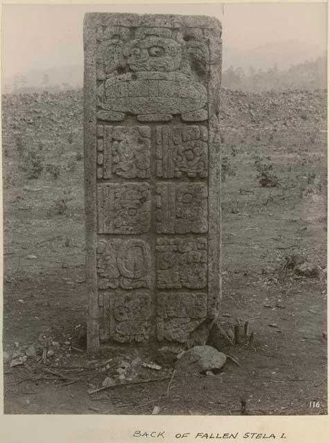 Back of fallen Stela 1