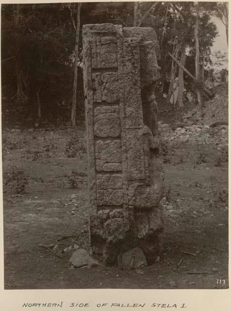 Northern side of fallen Stela 1