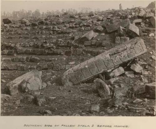 Southern side of fallen Stela 2 before moving