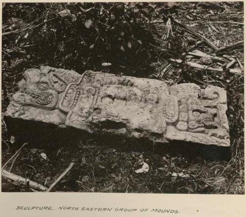 Sculpture, north eastern group of mounds