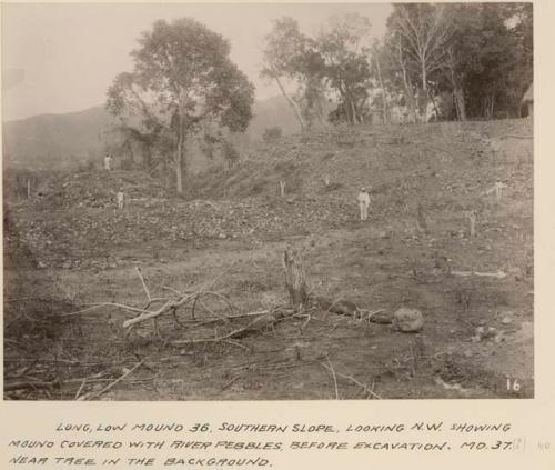 Mound 36, southern slop, looking northwest