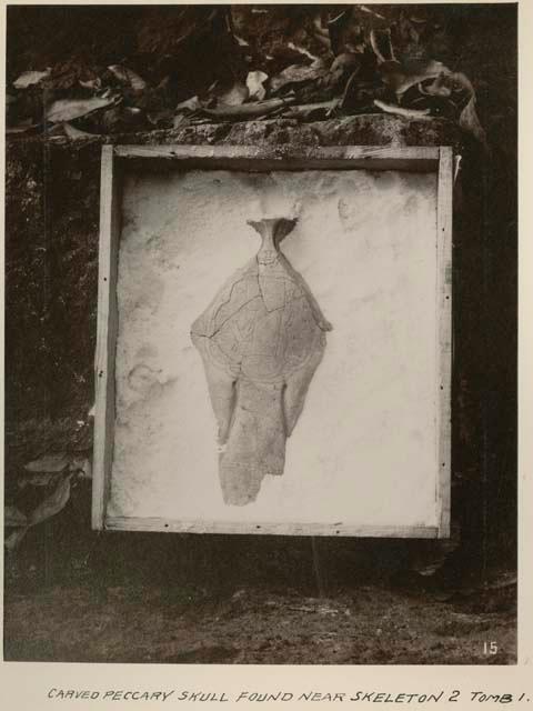 Carved peccary skull found near Skeleton 2 Tomb 1