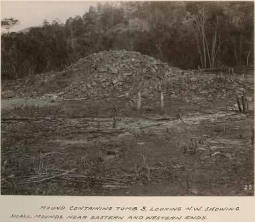 Mound containing Tomb 3, looking northwest