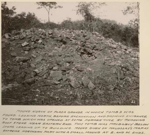 Mound north of Plaza Grande in which tomb 3 was found, looking north