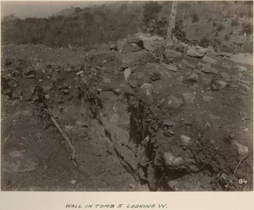 Wall in tomb 5, looking west