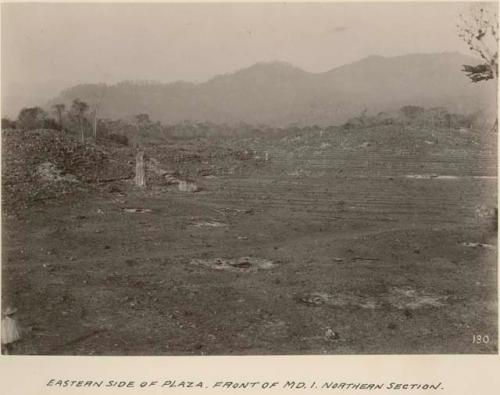 Eastern side of Plaza, front of Mound 1, northern section