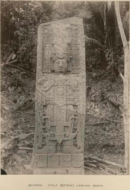 Front view of Stela 2C, looking north