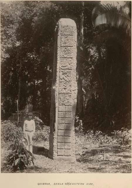 Eastern side of Stela 3D