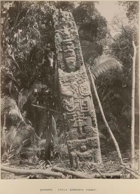 North front view of Stela 5F