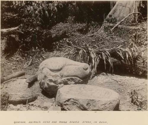 Animal's head and round sawed stone in bush