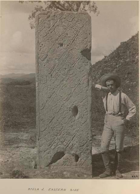 Mr. Lincoln standing next to Stela J, eastern side