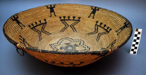 Medium-sized basket tray. Coil technique. Made of bear grass and devil's claw.