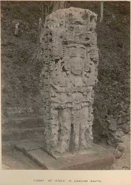 Front of Stela N, looking south