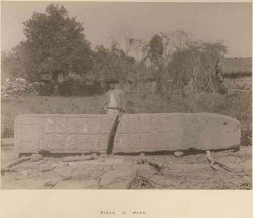 Man standing behind Stela 7