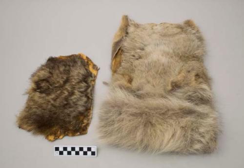 Two fur pieces