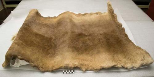 Bed mat of caribous skin.