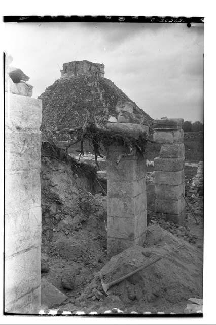 Stump clinging to top of column at the Temple of Warriors