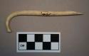 Racoon bone awl