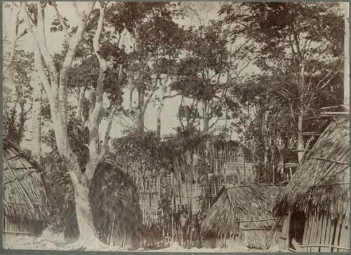 Huts, with treehouse in background